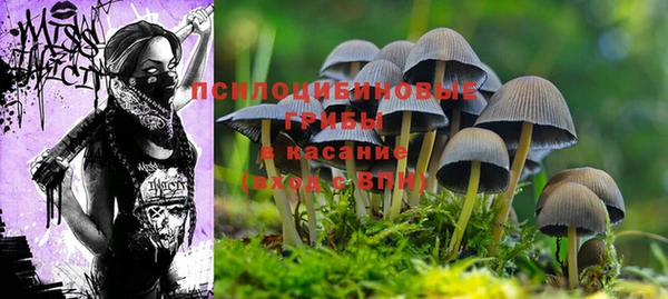 мяу мяу мука Богородицк