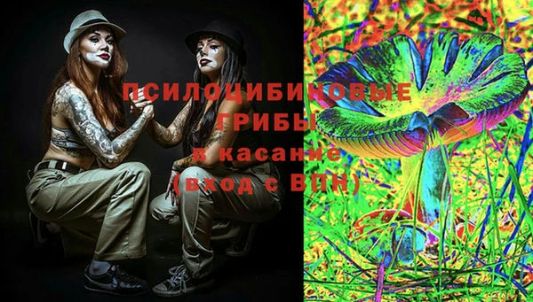 спиды Богданович