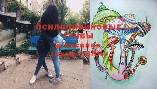спиды Богданович