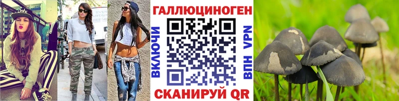 Псилоцибиновые грибы MAGIC MUSHROOMS  купить  цена  Далматово 